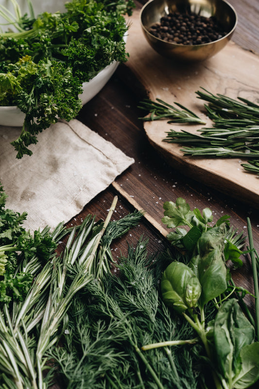 Why Journal While Studying Plants and Herbs?