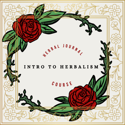 Herbal Journal Course: Intro to Herbalism